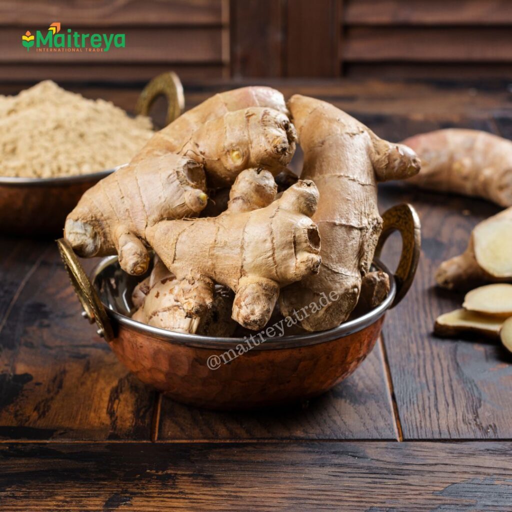 Fresh Ginger Exporter and Supplier