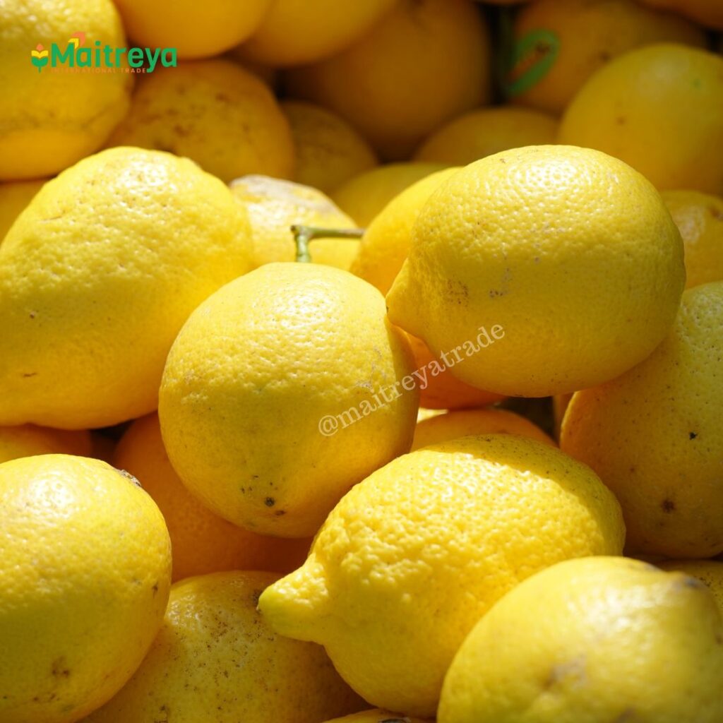 Fresh Lemon Exporter and Supplier