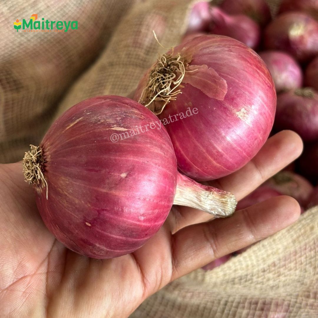 Dubai quality red onion available